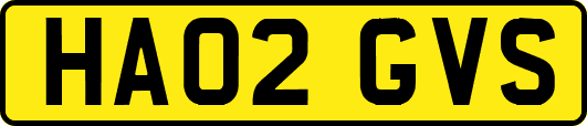 HA02GVS