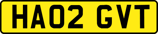 HA02GVT