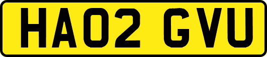 HA02GVU