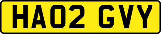 HA02GVY