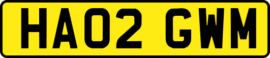 HA02GWM