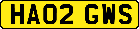 HA02GWS