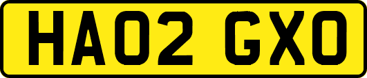 HA02GXO