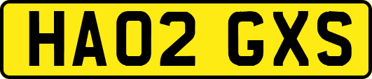HA02GXS