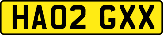 HA02GXX