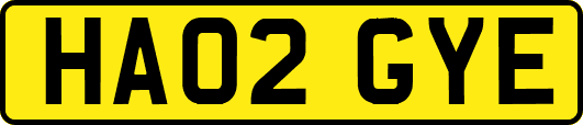 HA02GYE