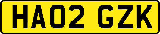 HA02GZK