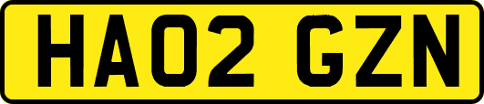 HA02GZN