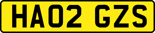 HA02GZS