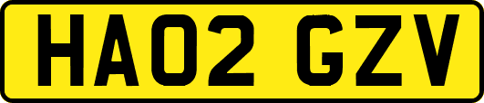 HA02GZV
