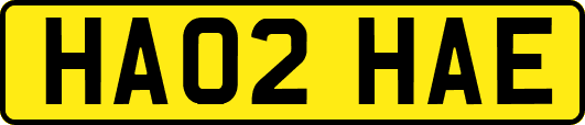 HA02HAE
