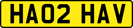 HA02HAV