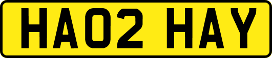 HA02HAY