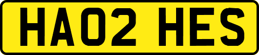 HA02HES