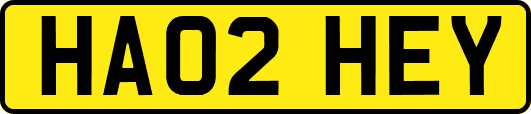 HA02HEY