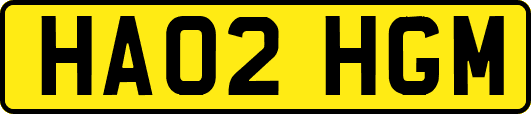 HA02HGM