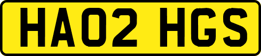 HA02HGS