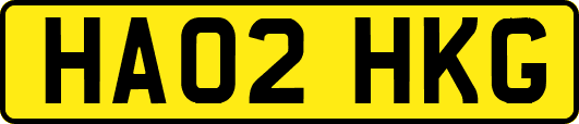 HA02HKG