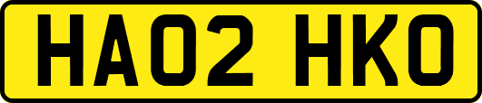 HA02HKO