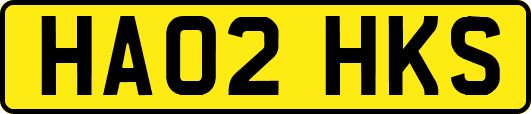 HA02HKS