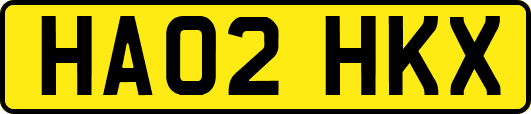 HA02HKX