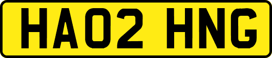 HA02HNG