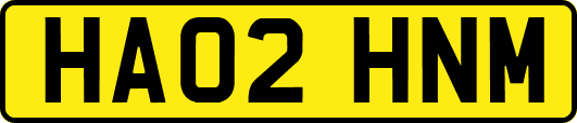HA02HNM
