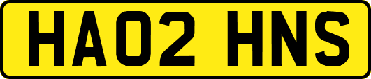 HA02HNS