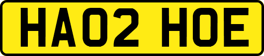 HA02HOE