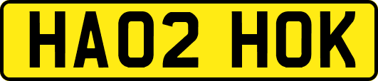 HA02HOK