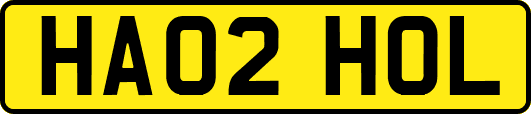 HA02HOL