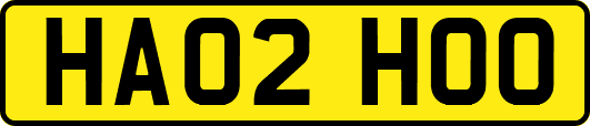 HA02HOO