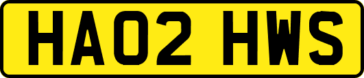 HA02HWS