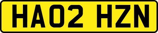 HA02HZN