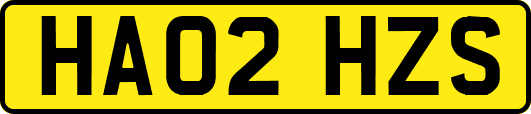 HA02HZS