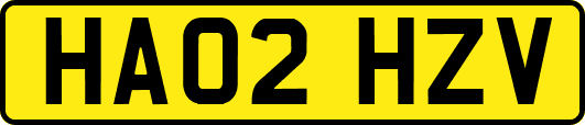 HA02HZV