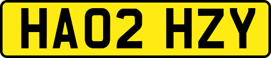HA02HZY