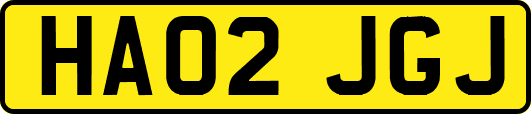 HA02JGJ