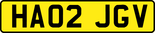 HA02JGV