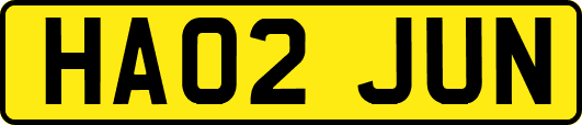 HA02JUN