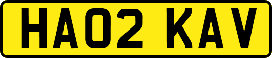 HA02KAV