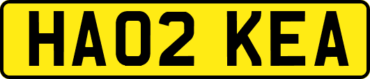 HA02KEA
