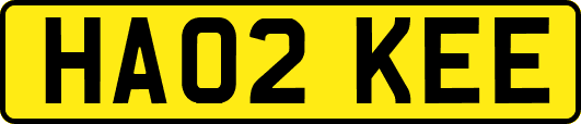 HA02KEE