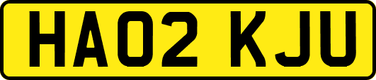 HA02KJU