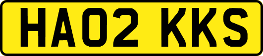 HA02KKS