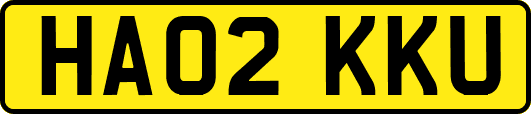 HA02KKU