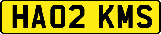 HA02KMS
