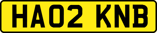 HA02KNB