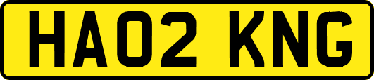 HA02KNG