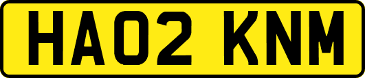 HA02KNM